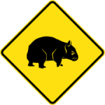 Wombats